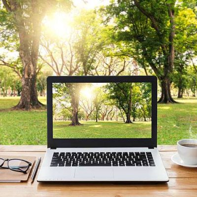 laptop computer and coffee on wood workspace and park background